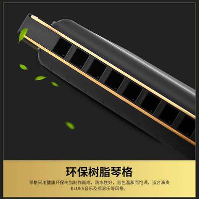 德国原装进口 Hohner布鲁斯10孔和莱十孔口琴Pro Harp SP20升级款