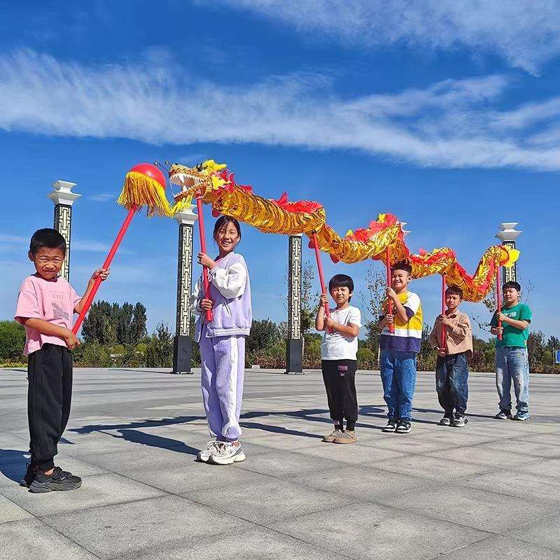 儿童舞龙学校师生幼儿园多人棍子龙头节目表演道具健身龙带甩彩带