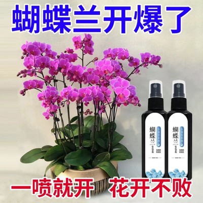 蝴蝶兰文心兰专用兰花型植物专用营养土介质液体营养液