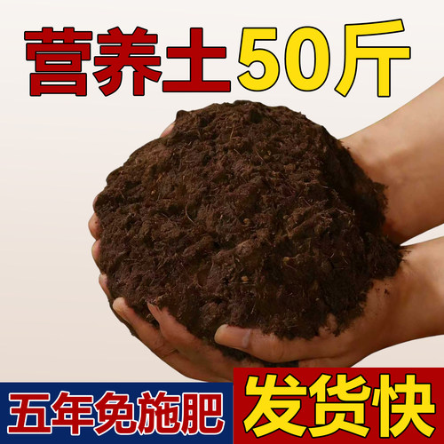 营养土养花通用专用花土
