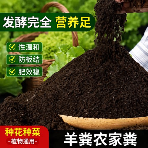 羊粪发酵有机肥蔬菜专用