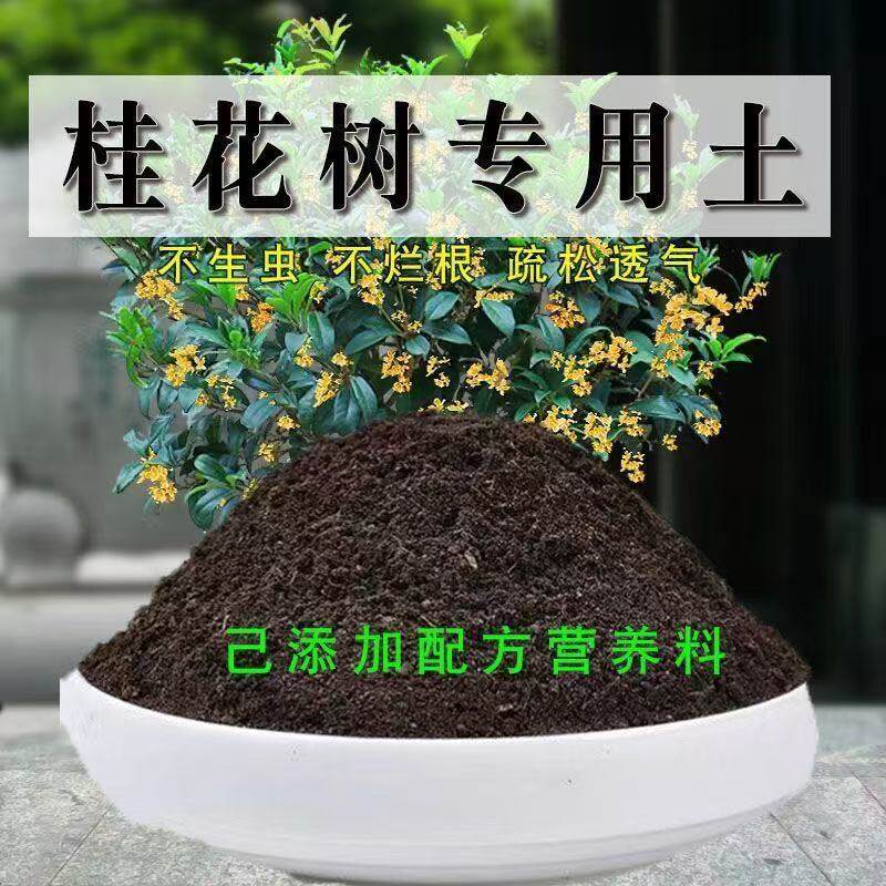 桂花树专用土桂花树专用营养土盆栽绿植土养花土壤种植土有机肥料