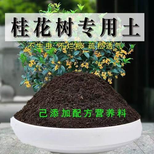 桂花树专用土桂花树专用营养土盆栽绿植土养花土壤种植土有机肥料