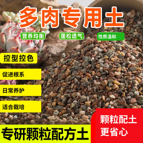 多肉专用颗粒土营养土