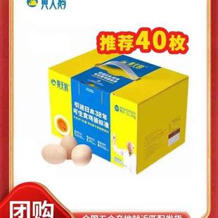 黄天鹅40枚可生食鲜鸡蛋无菌新鲜礼盒溏心蛋礼品正品单枚53克+