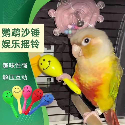 鹦鹉玩具沙锤虎皮牡丹小太阳用品