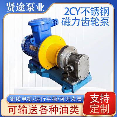 2CY不锈钢磁力齿轮泵厂家供应不锈钢磁力泵不锈钢齿轮泵耐腐蚀强