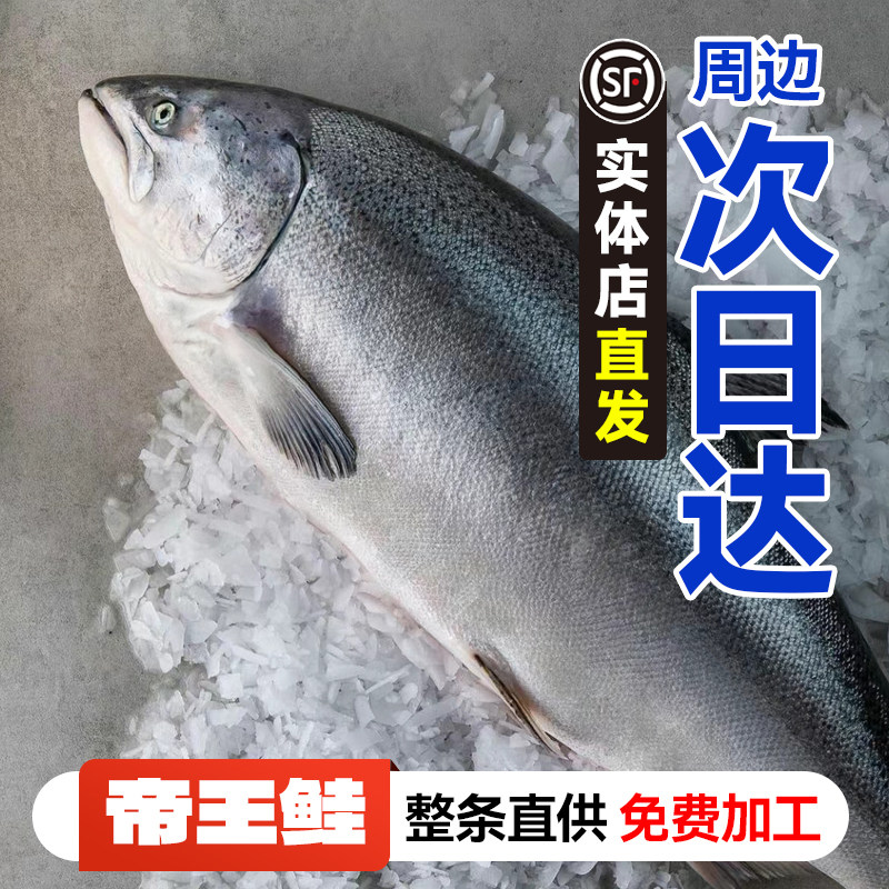 明星也在吃！新西兰帝王鲑！图片