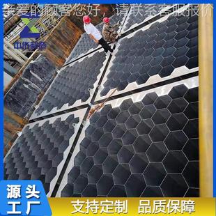 395阳块极模厂家无锡发货热电厂脱除尘硫除尘蜂窝2205电厂管模块