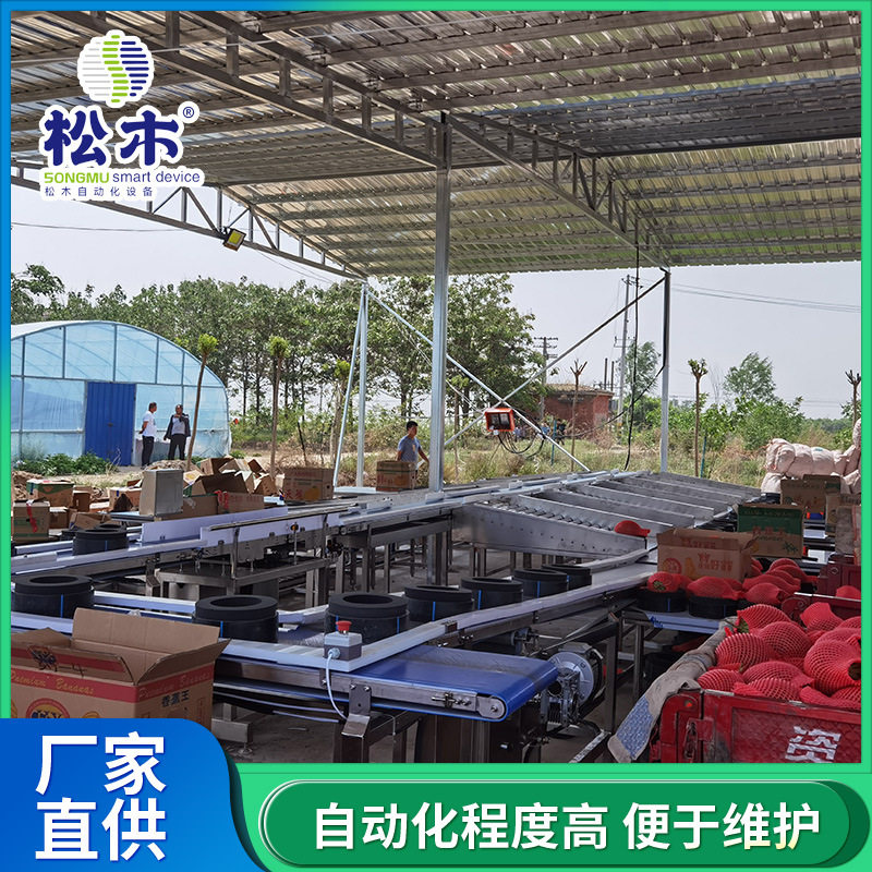 哈密瓜玲珑蜜瓜分选机结实耐用使用寿命长全自动水果分拣机
