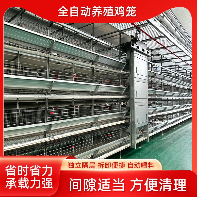 层叠式养鸡设备蛋鸡笼鸽子笼养殖场肉鸡H型笼养殖鹌鹑笼肉鸡A型笼