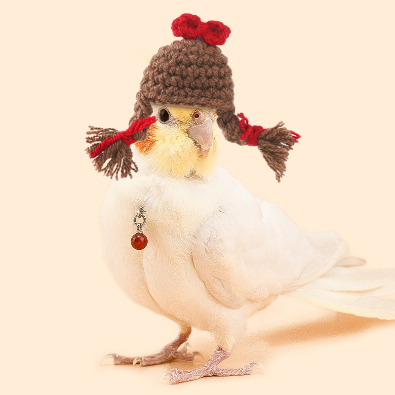 虎皮鹦鹉帽子小鸟戴的头饰手工编织头套保暖仓鼠金丝熊毛线帽用品