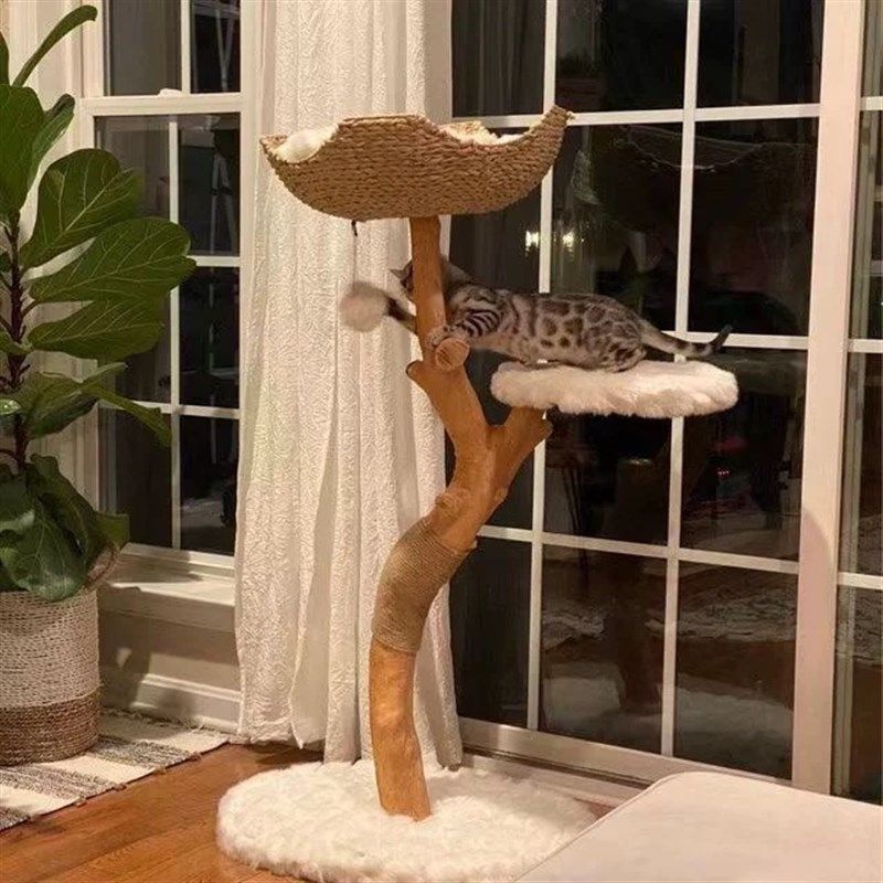 天然树枝猫爬架实木树干跳台一体猫窝猫树别墅客厅豪华家具猫抓柱,宠物/宠物食品及用品,猫爬架,淘宝优惠券,粉丝福利购,淘宝优惠卷