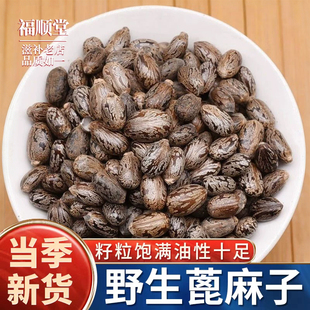 蓖麻子中药材500g克野生新货正品蓖麻籽红大麻子生种子大蓖麻子仁