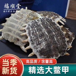 鳖甲中药材500g生鳖甲甲鱼全壳鳖甲壳鳖盖子精选正品制鳖甲可磨粉
