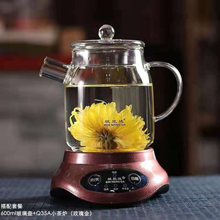 迷你养Z生花茶壶耐热玻璃煮茶壶烧水茶具电陶炉家用办公套装