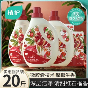 植护香水洗衣液1kg补充装 官方旗舰店 持久留香家用整箱批实惠袋装