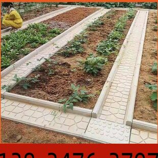 板板模具自铺沟园地砖土板农村走道挡菜菜地水泥菜地沟成品围栏菜