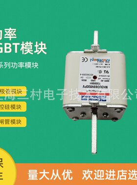 全新熔断器保险丝NH2UD69V350PV Y320480 NH2UD69V400PV B320483
