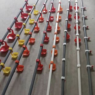 鸡鸭养殖自动饮水线25管饮水器6分管养殖饮水设备3米4米厚2.0鸡雏