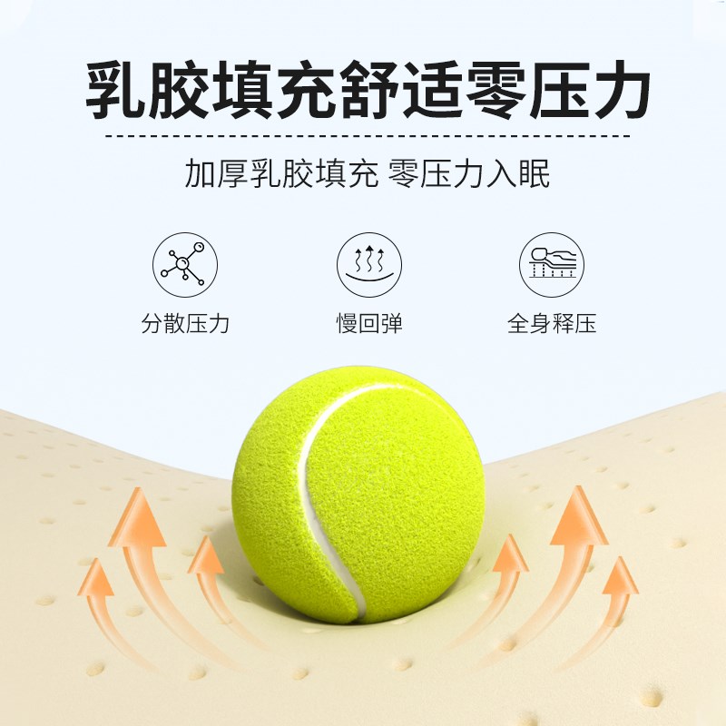 乳胶记忆海绵床垫家用卧室软垫床垫子B床褥垫租房专用150x180x200