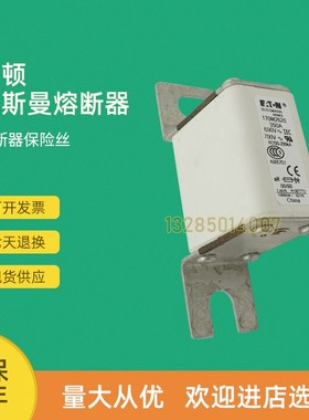 全新快速熔断器保险170M2984 170M3008 170MO3009 170M3010