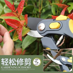 朗祺花园家用园艺插花修花修枝剪B果园葡萄树枝粗枝花木剪摘果剪