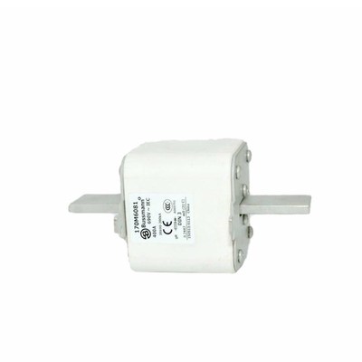 170M8549 170M8550 170M8551 F170M8552 快速熔断器 保险丝全新