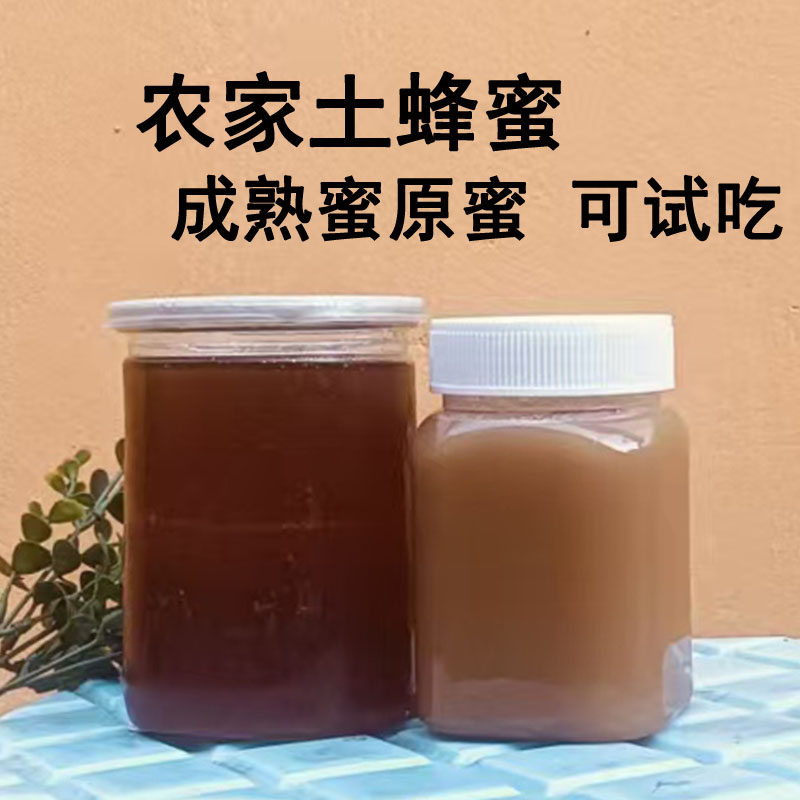 正宗龙眼蜜土蜂蜜原蜜中蜂蜜纯正天然无添加特级正品农家自产野生