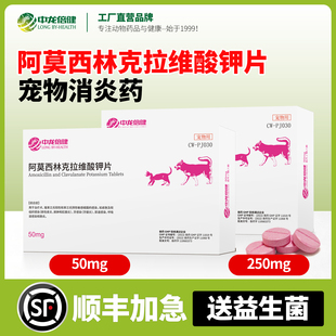 宠物阿莫西林克拉维酸钾片猫狗用消炎药猫咪狗狗感冒速泌诺尿感染
