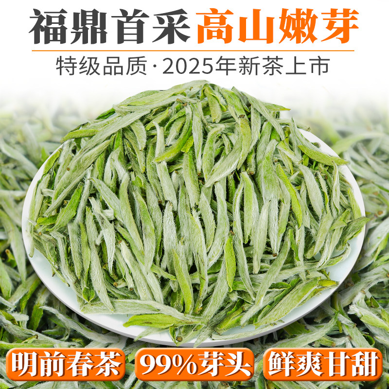 福鼎大毫白茶2026年新茶白毫银针明前头采首采芽小米芽茶毫香甘甜