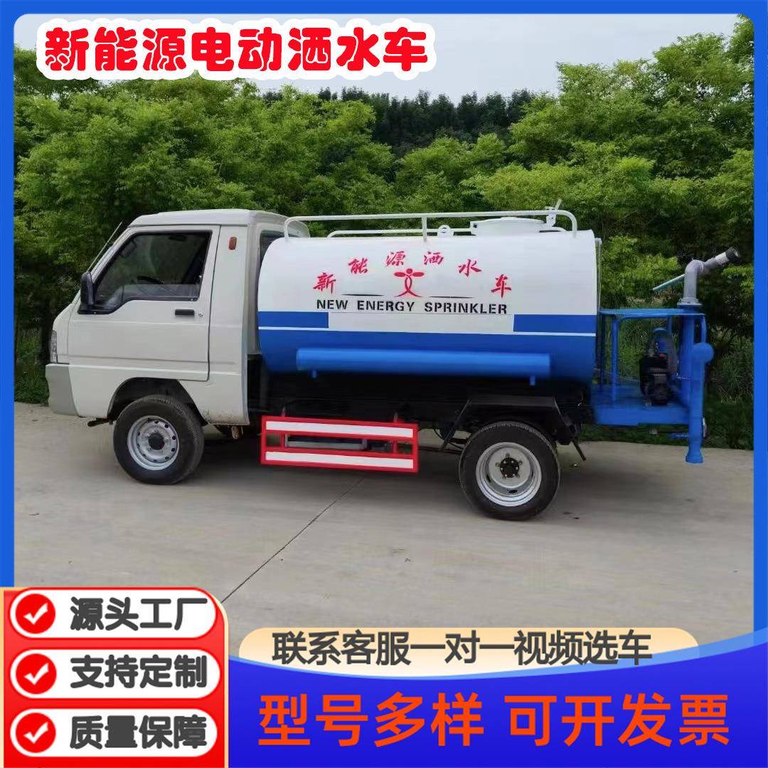 电动洒水车工地用降尘园林绿化喷洒物业小型多功能雾炮四轮冲洗车