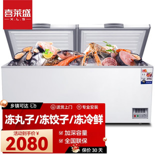 喜莱盛冰柜商用卧式冰柜大容量冰箱岛柜卧柜冷柜双温雪柜冷冻柜