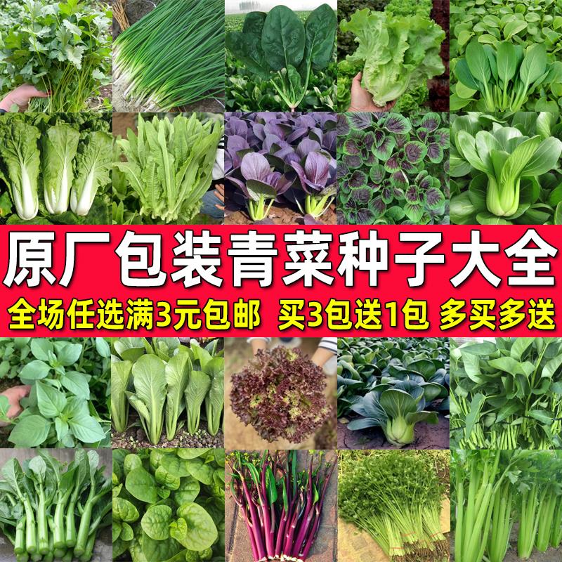 蔬菜种子四季上海青菜种籽空心菜茼蒿香菜冰菜韭菜生菜种籽孑大全-封面
