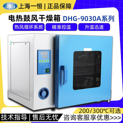 上海恒温干燥箱D-9030/9240A实验室小型烘箱电热鼓风干燥箱