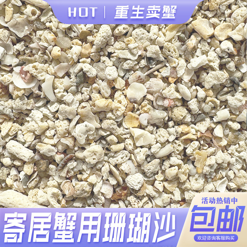 珊瑚沙寄居蟹专用天然爬宠垫材装饰造景菲律宾原生贝壳免洗钙沙子