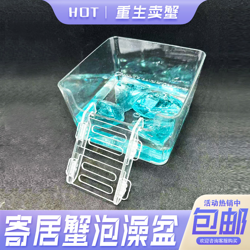 寄居蟹泡澡盆垫脚石防溺水盆爬宠相手蟹亚克力爬梯海水螃蟹用澡缸