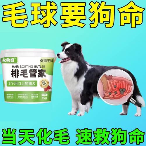 狗狗排毛管家助化毛助排毛猫草片磨牙云杉鱼油冻干狗零食