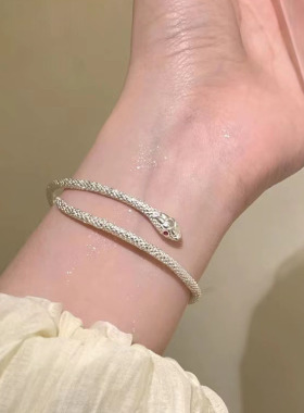 银蛇缠绕手镯女夏季轻奢小众高级感精致手链设计感个性冷淡风手饰