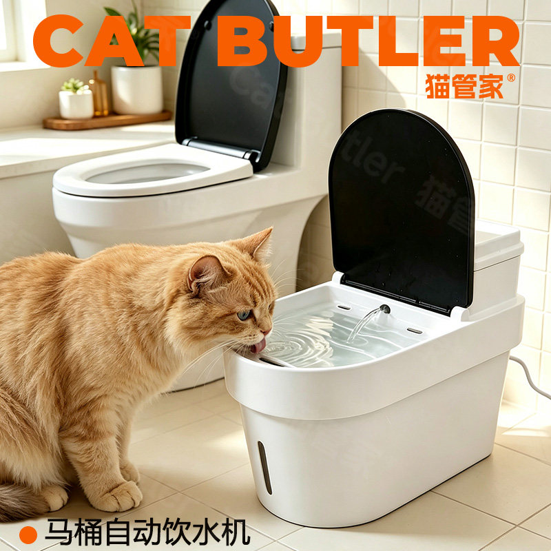 猫咪饮水机智能马桶宠物用品