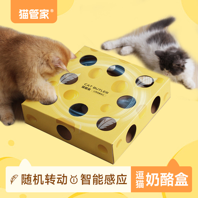 猫管家打地鼠猫玩具自嗨解闷益智丰容圣诞礼物电自动逗猫咪奶酪盒