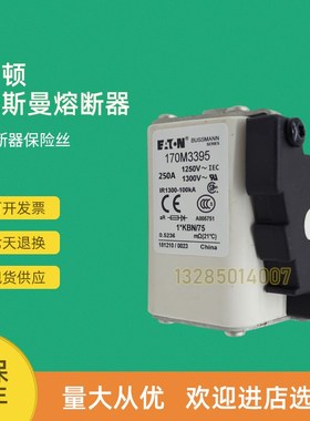 全新快速熔断器保险170M3390 170M3391 170M3392 170M3393