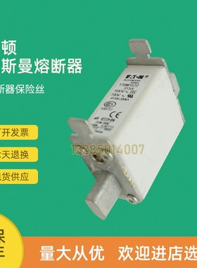 全新快速熔断器保险170M1517 170M1518 170M1519 170M1520