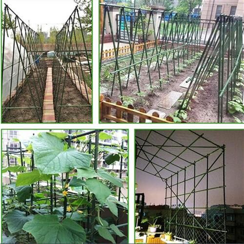 爬藤架花架爬藤支架植物支撑杆花B墙网格园艺种菜葡萄架庭院花架