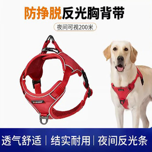 多尼斯狗反光胸背马甲遛狗绳外出防挣脱狗带背心式背带夜光狗链子