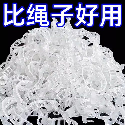 黄瓜西红柿豆角爬藤枝条固定器绿植蔬菜捆绑扎带藤蔓专用园林工具