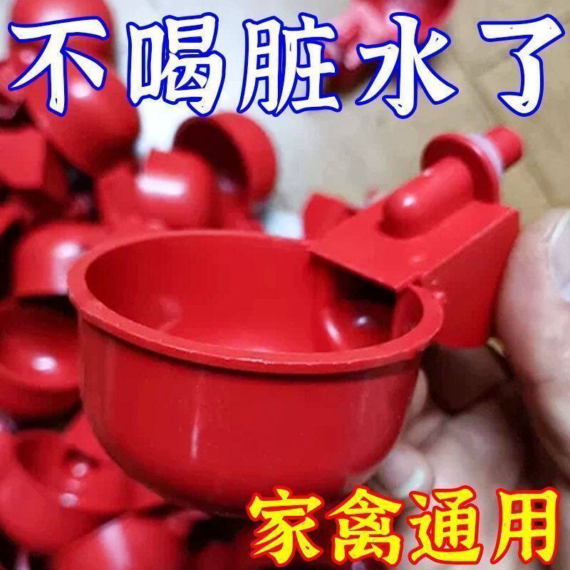 猫咪新款饮水机饮水器猫猫宠物水碗自动大容量加水喝水狗狗杯子
