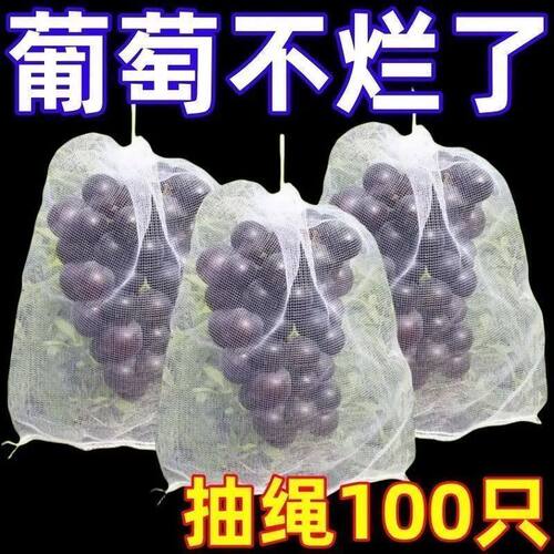 自带抽绳葡萄水果套袋防虫防鸟防雨水果网袋无花果透气瓜果防虫袋
