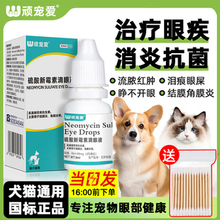 狗狗滴眼液猫咪宠物眼药水发炎泪痕流脓消炎硫酸新霉素滴眼液