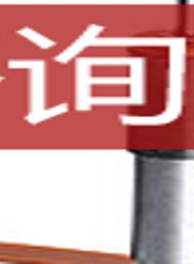 福尔哈贝FAULHABER MCS326 ET运动控制0515B直流刷伺服电机询价